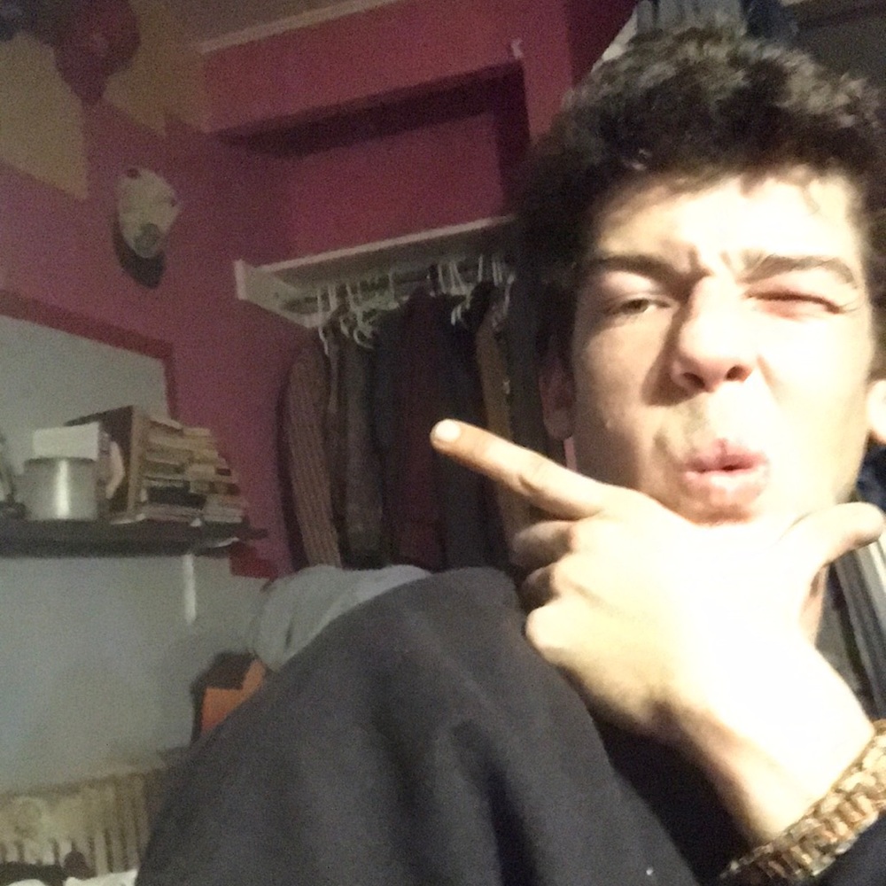 Meet your Posher, Tygre